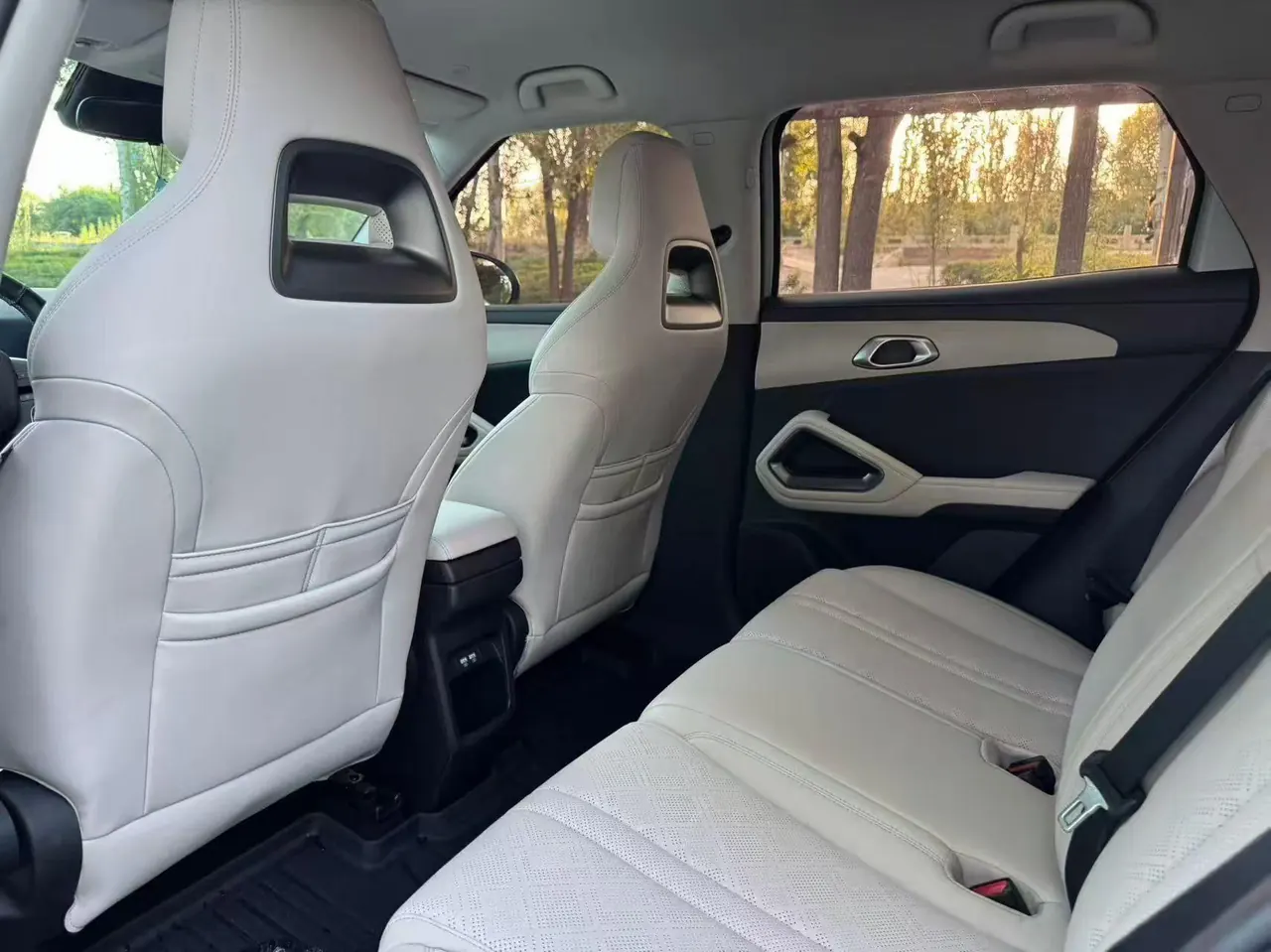 BYD 2024 Yuan UP 401KM Vital Edition Automatic Gear 8