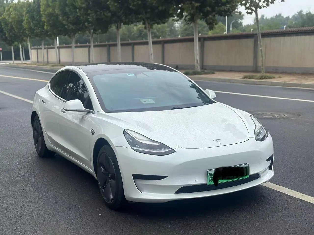 Tesla 2020 Model 3 Standard Endurance Rear Drive Upgraded Automatic Gear 2