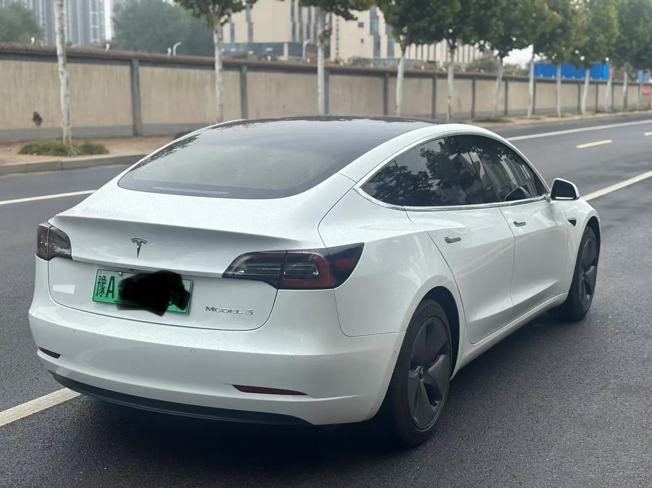 Tesla 2020 Model 3 Standard Endurance Rear Drive Upgraded Automatic Gear 5