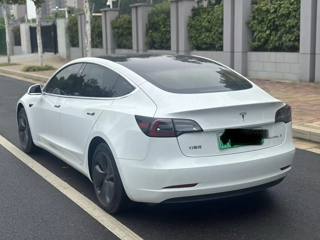Tesla 2020 Model 3 Standard Endurance Rear Drive Upgraded Automatic Gear 6
