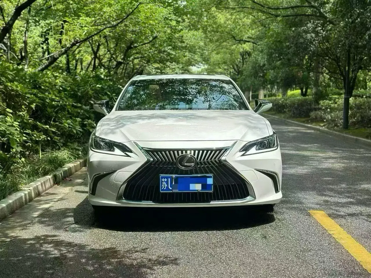 Lexus ES (Imported) 2020 ES200 2.0 Stepless Premium Edition Automatic Gear 2