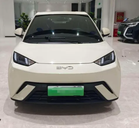 BYD 2024 Seagull Glory 305km Free Automatic Gear 2