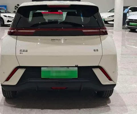 BYD 2024 Seagull Glory 305km Free Automatic Gear 3