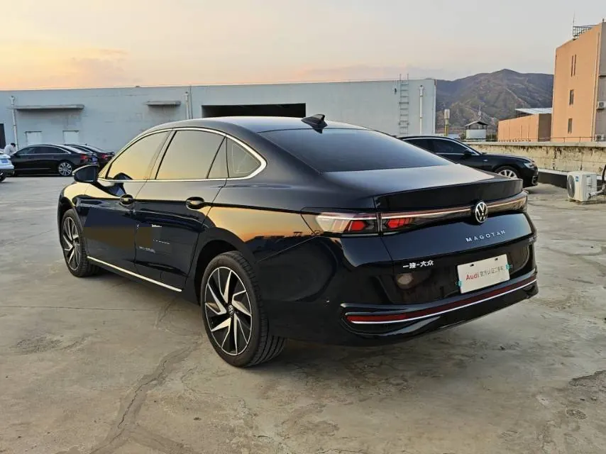 Volkswagen 2024 Magotan 2.0TSI 380TSI Extreme Edition Automatic 7