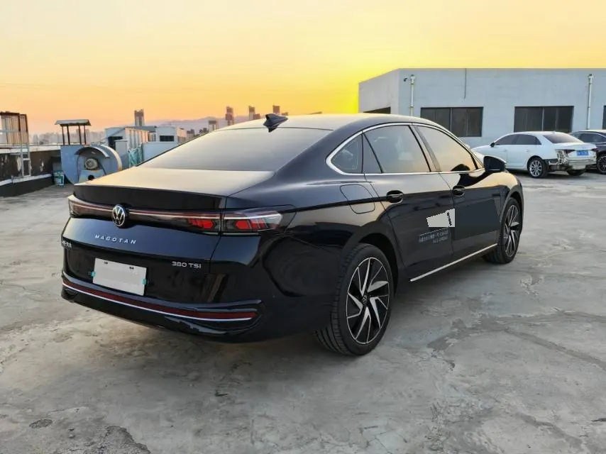 Volkswagen 2024 Magotan 2.0TSI 380TSI Extreme Edition Automatic 9