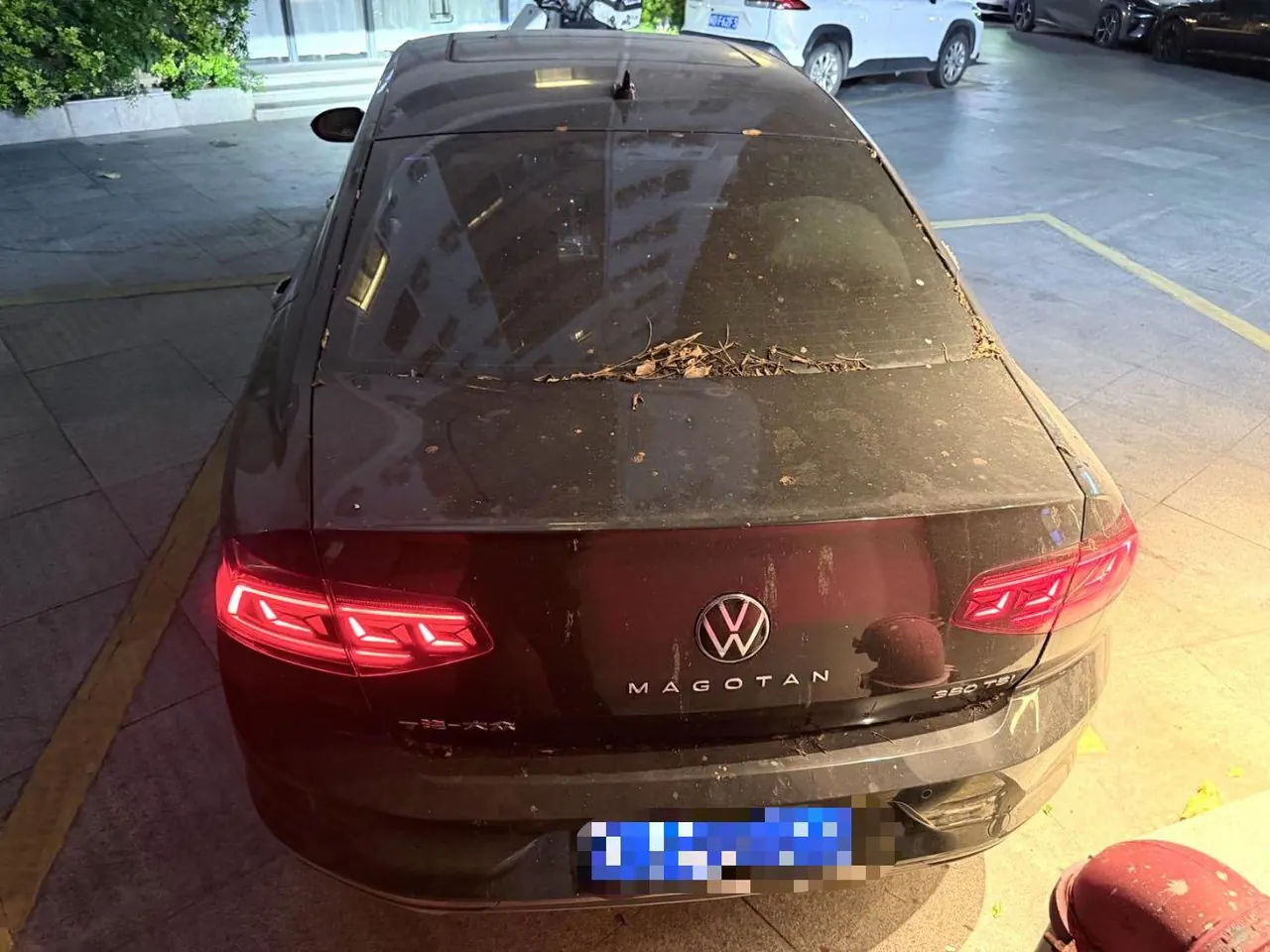 Volkswagen 2026 Magotan 2.0TSI 380TSI 30 million selected luxury automatic gear 5