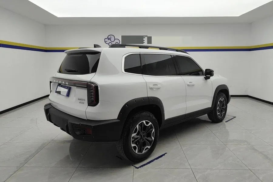 Haval 2024 big dog 2.0T Chinese garden dog version automatic gear 5