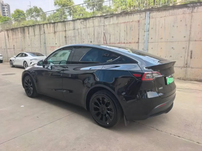 Tesla 2024 Model Y long endurance all-wheel drive version automatic transmission 6