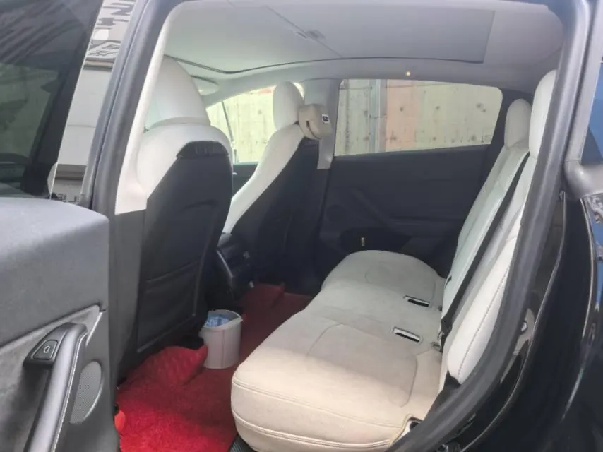 Tesla 2024 Model Y long endurance all-wheel drive version automatic transmission 9