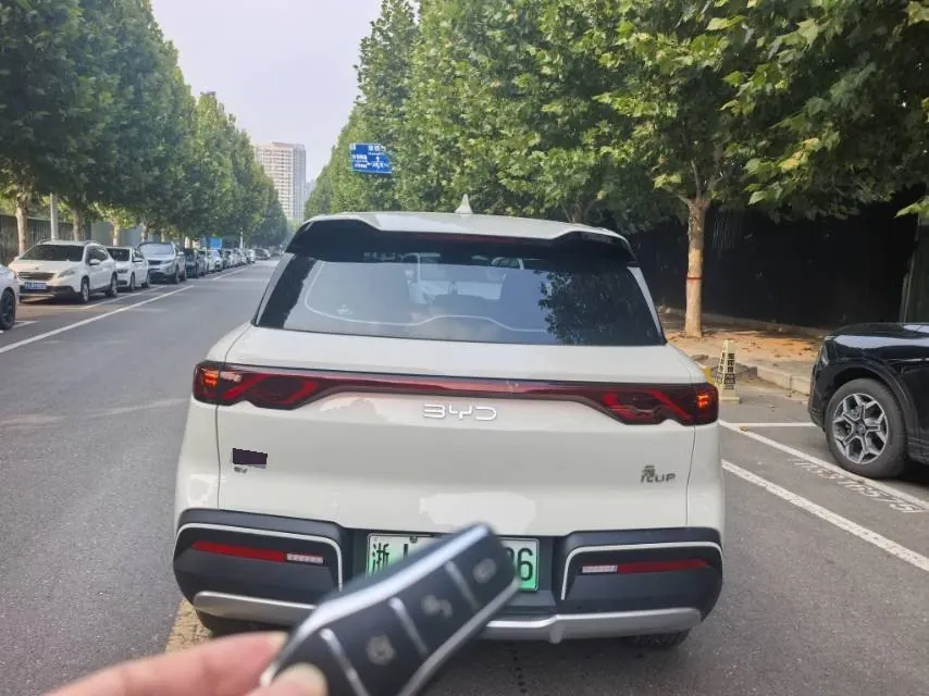 BYD 2024 Yuan UP 301KM Leading Automatic Gear 5