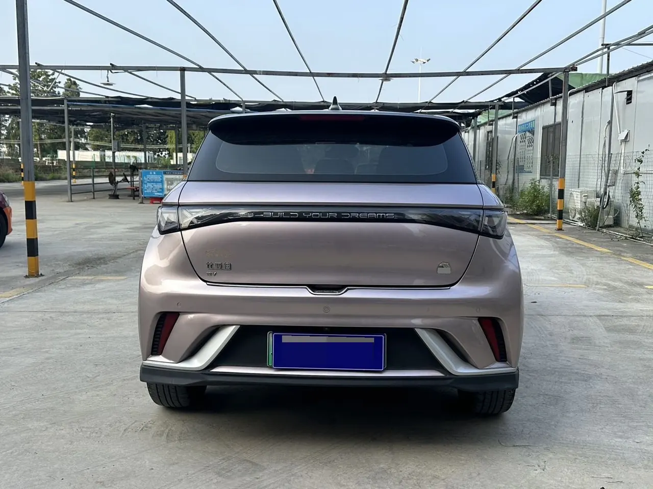 BYD 2021 Dolphins 401km Knight Edition Automatic Gear 8