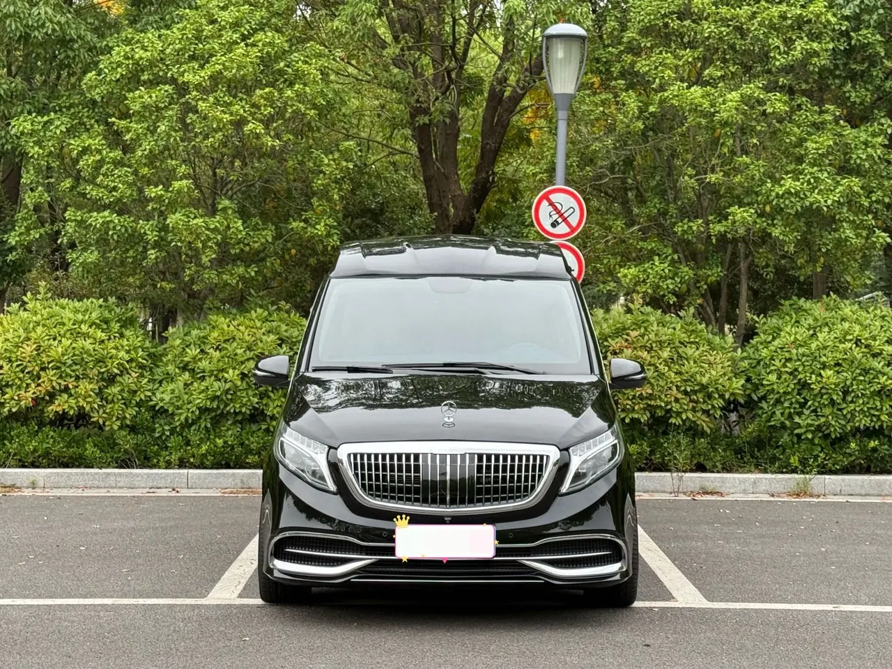 Mercedes Benz Class V (Imported) 2021V 250 2.0T Automatic Gear 2