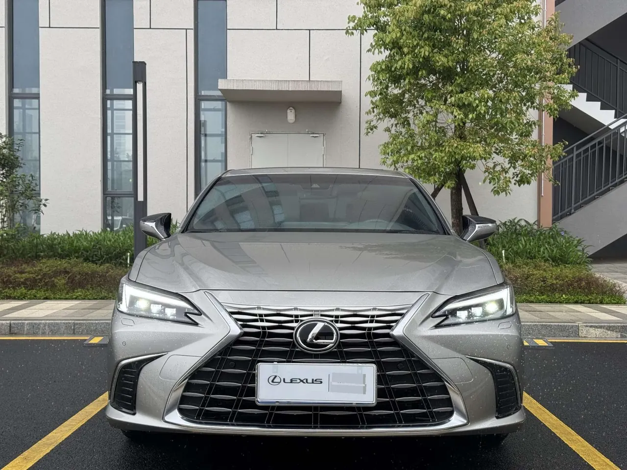 Lexus ES (Imported) 2025 ES300h 2.5 Stepless Premium Edition Automatic Gear 2
