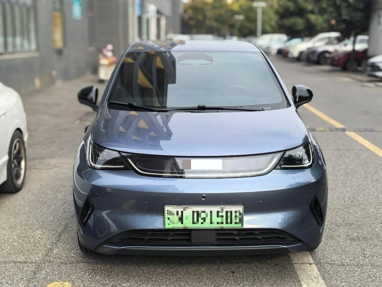 BYD 2025 Dolphin Smart Driving 420km Free Automatic 2