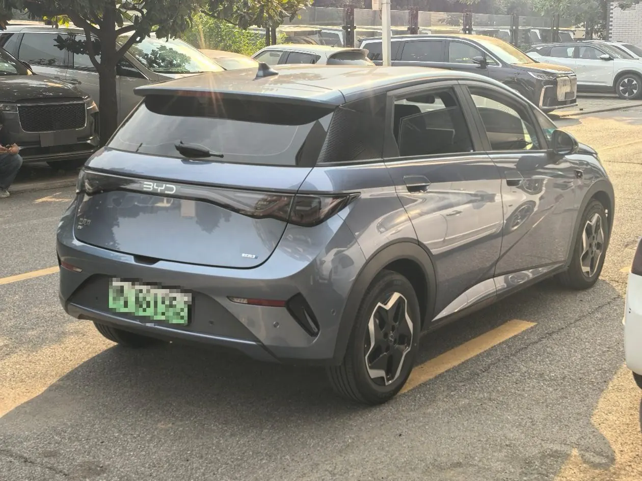 BYD 2025 Dolphin Smart Driving 420km Free Automatic 4