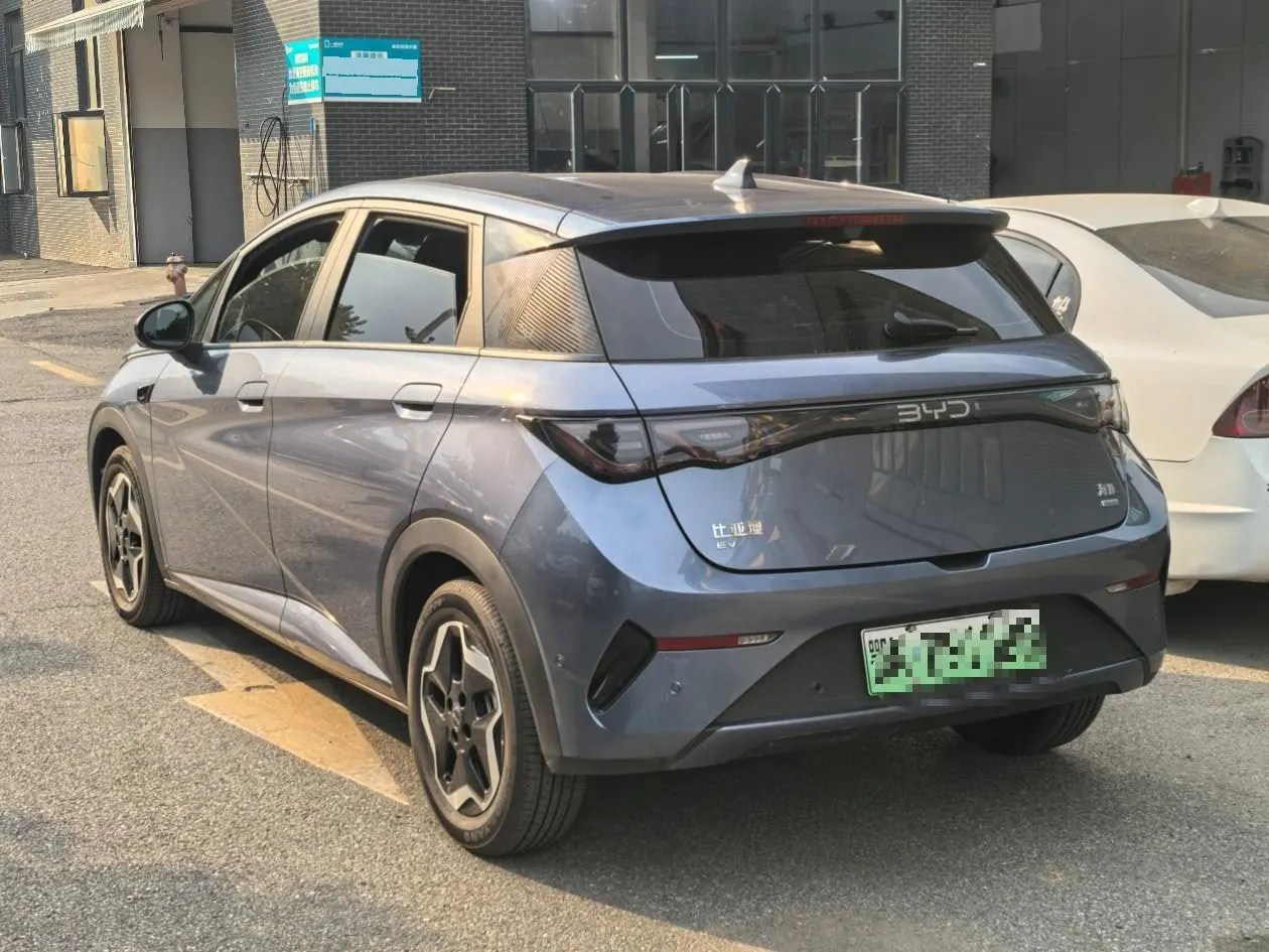 BYD 2025 Dolphin Smart Driving 420km Free Automatic 5