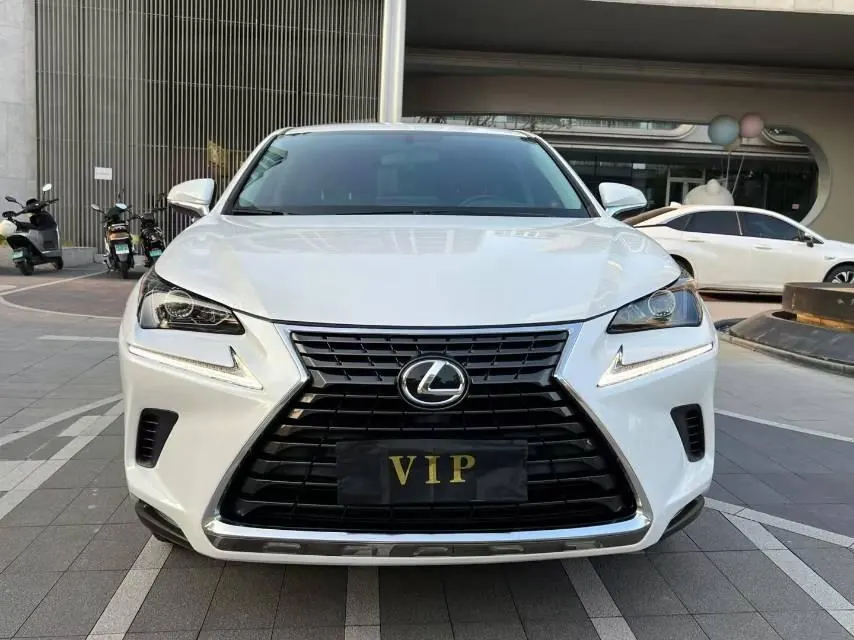 Lexus NX (Imported) 2020 NX200 2.0 Stepless Automatic Gear 3