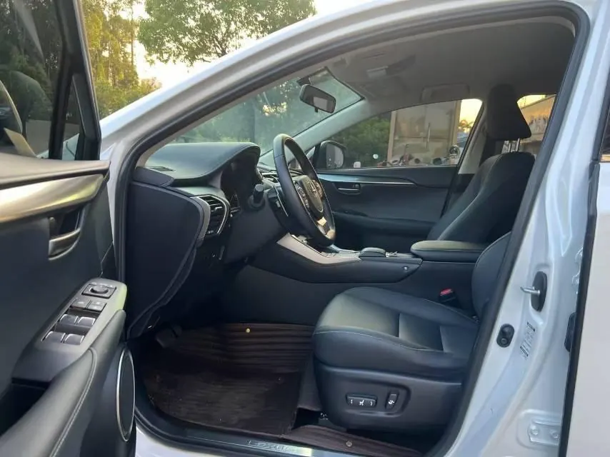 Lexus NX (Imported) 2020 NX200 2.0 Stepless Automatic Gear 5