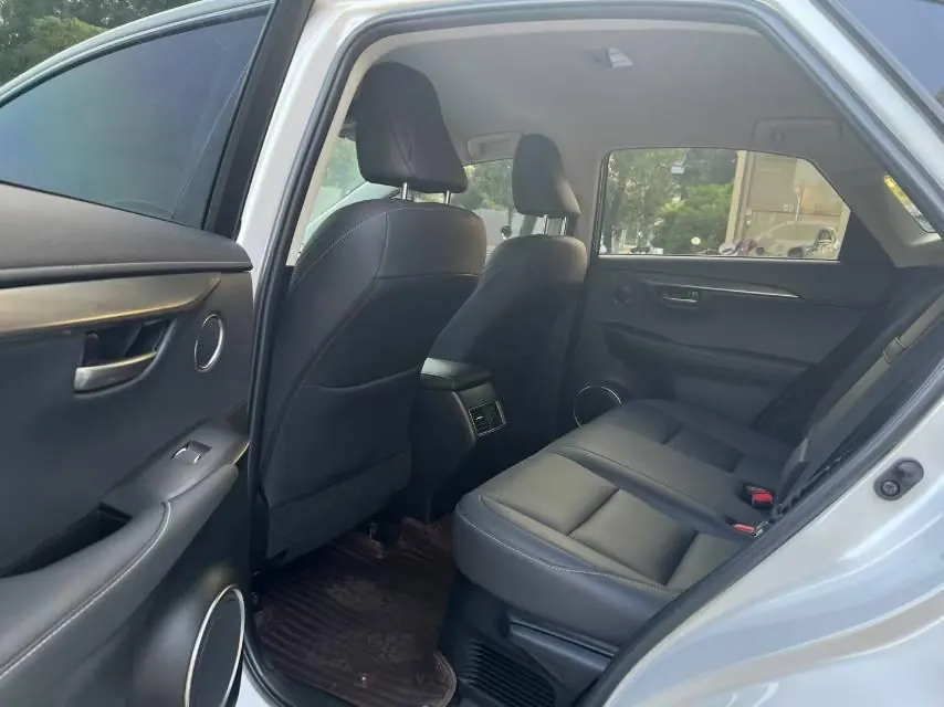 Lexus NX (Imported) 2020 NX200 2.0 Stepless Automatic Gear 6