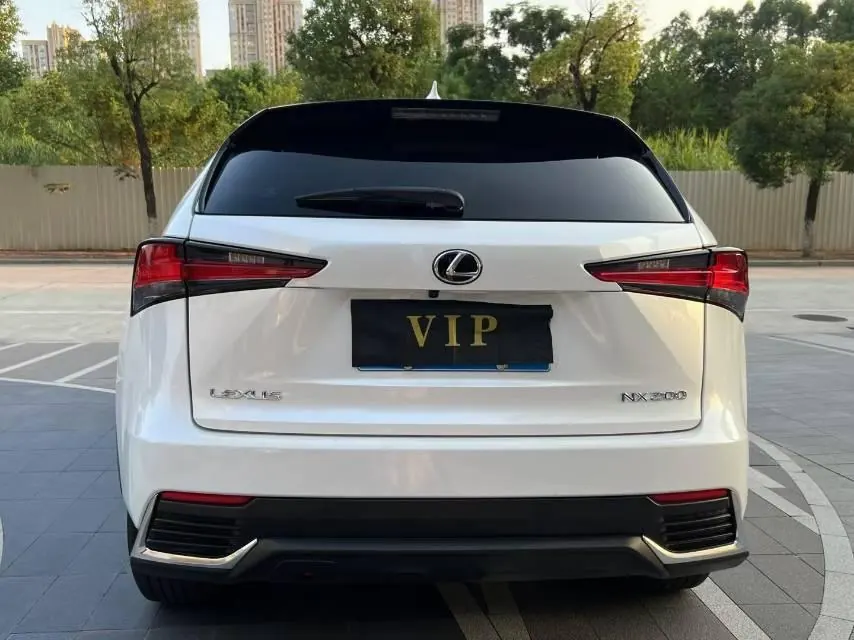 Lexus NX (Imported) 2020 NX200 2.0 Stepless Automatic Gear 8