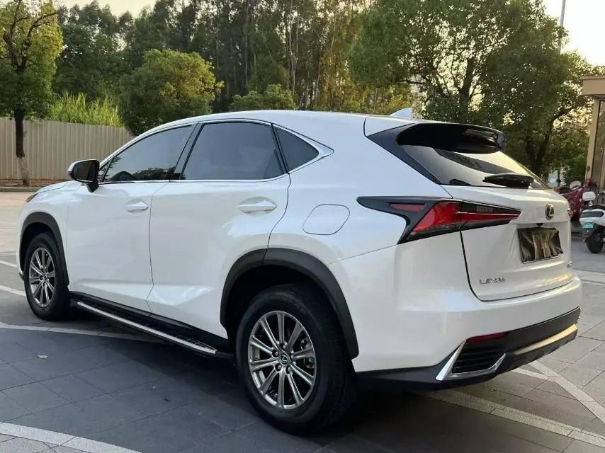 Lexus NX (Imported) 2020 NX200 2.0 Stepless Automatic Gear 9