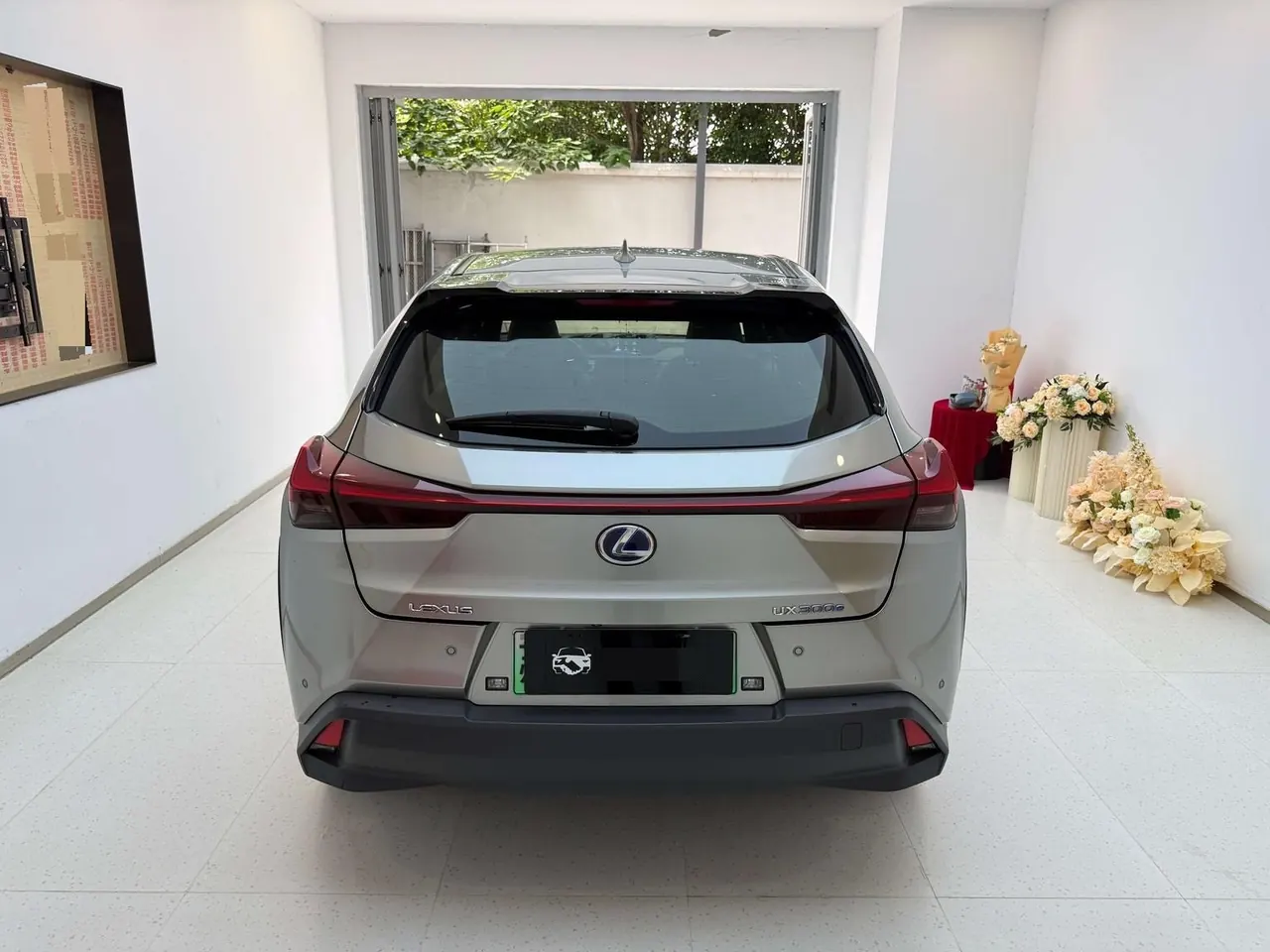 Lexus UX New Energy (Imported) 2020 UX 300e Pure Yue Edition Automatic Gear 5