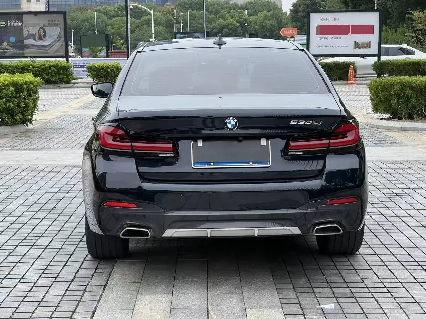 BMW 5 Series 2023 530Li 2.0T Leading M Sports Suit (Modified) Automatic Gear 5