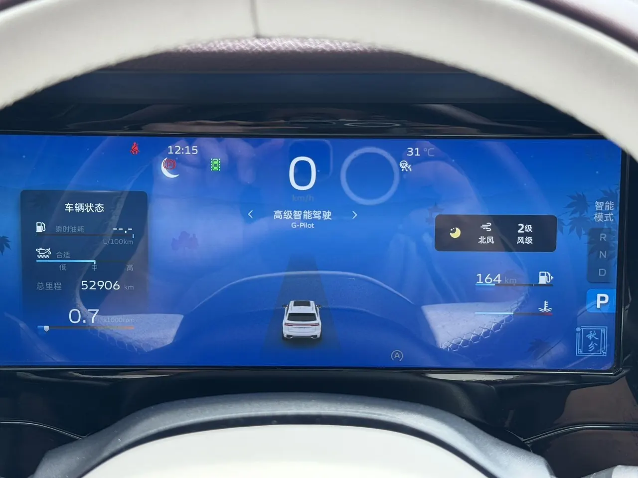 Geely 2021 XingyueL (Monjaro) 2.0TD EVO two-wheel drive distinguished automatic transmission 9