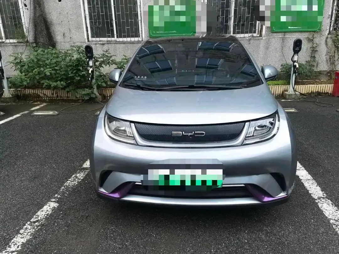 BYD 2021 Dolphin 405km Fashion Edition Automatic 2