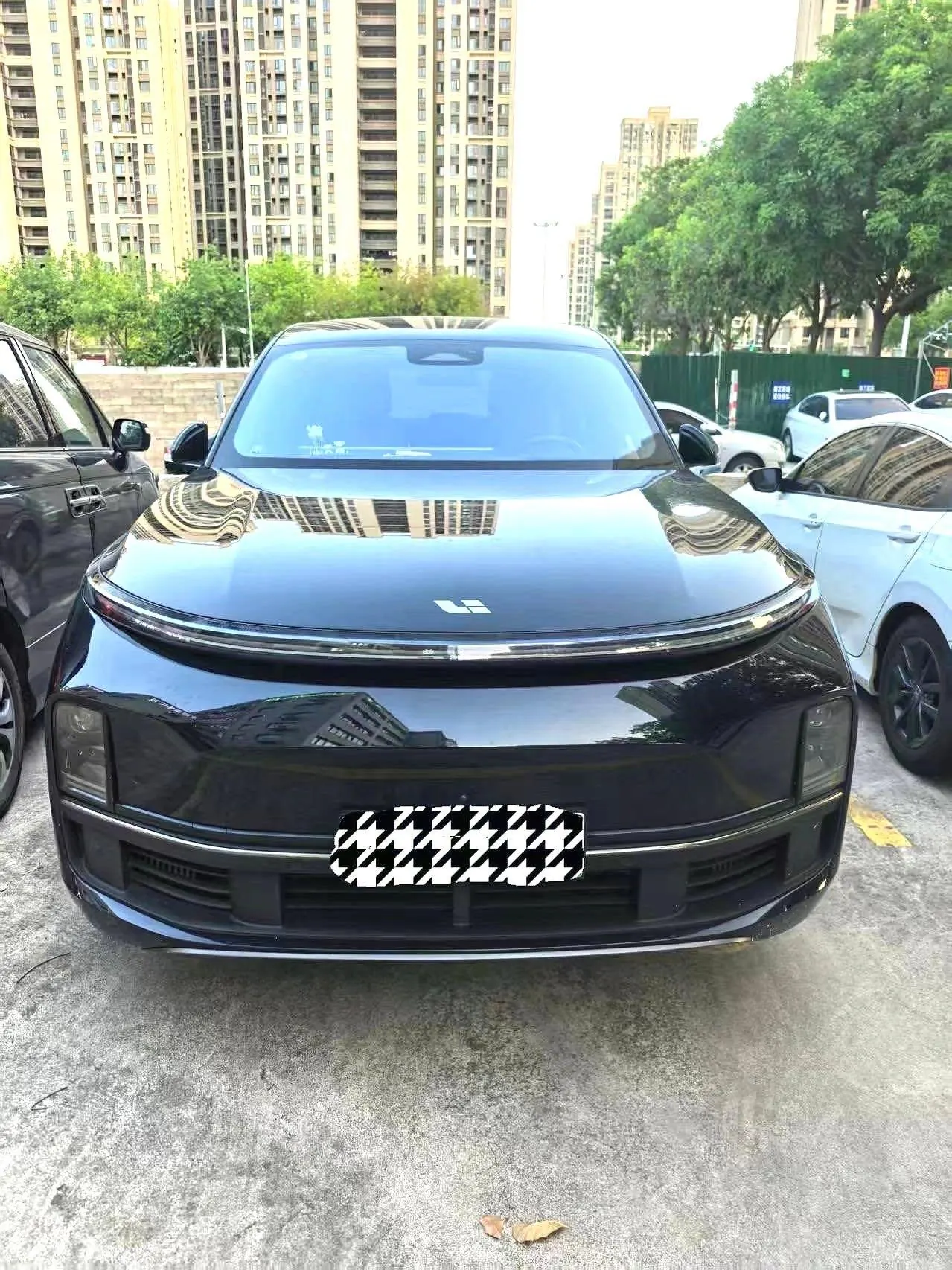 Li 2023 L9 Pro Edition Automatic Gear 2