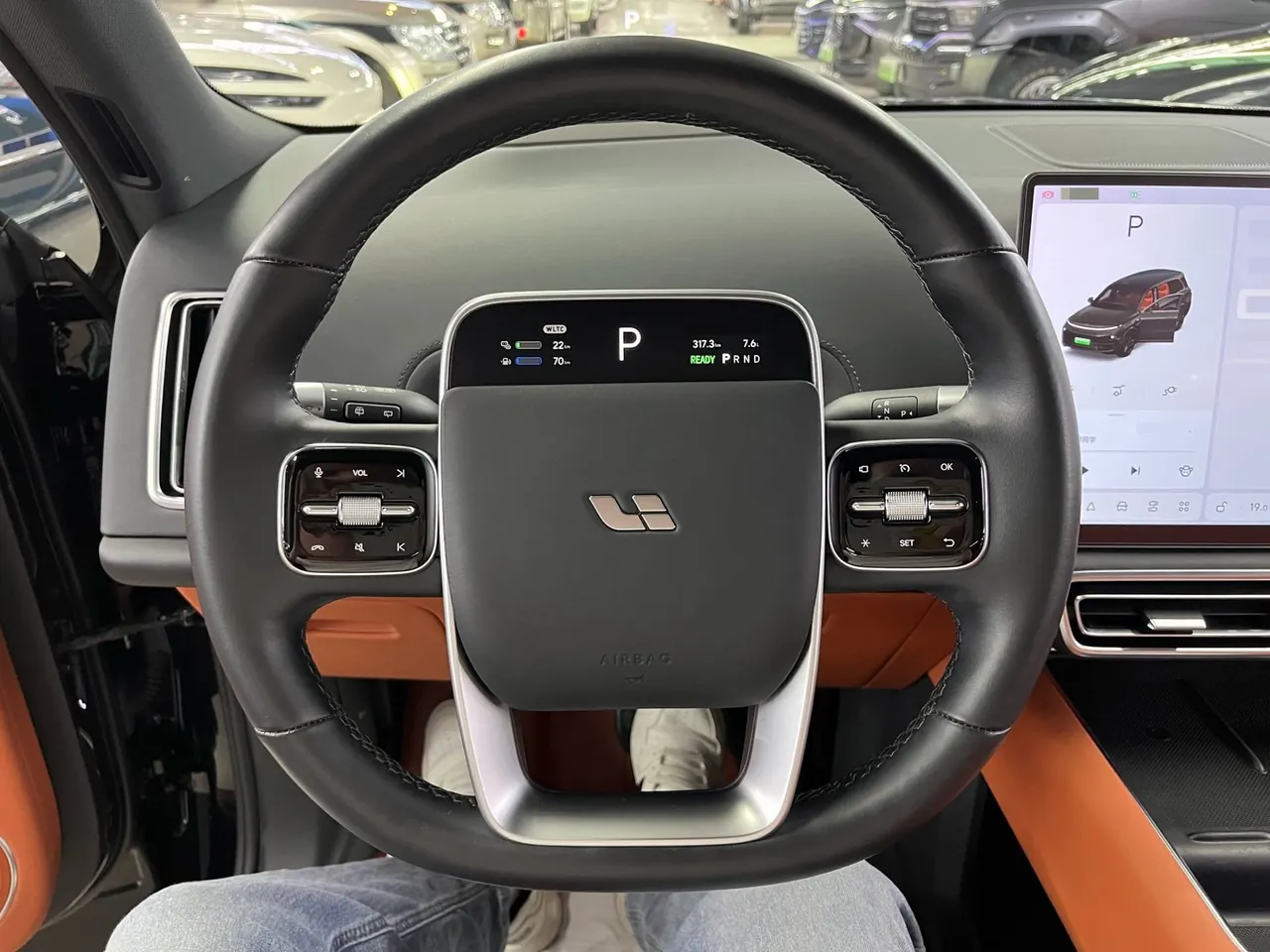 Li 2023 L9 Pro Edition Automatic Gear 10