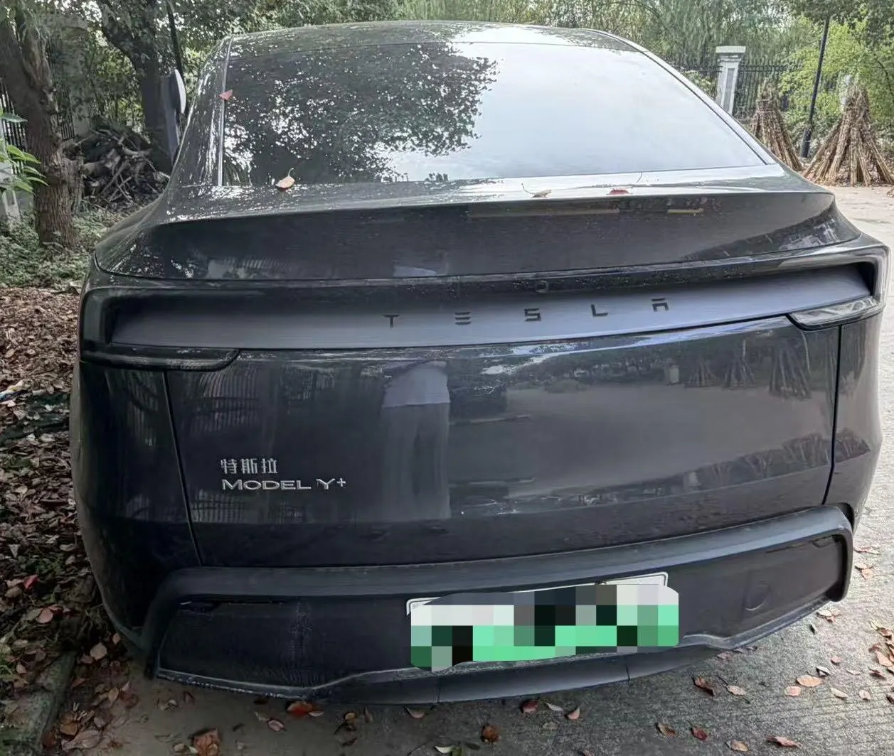 Tesla 2025 Model Y long endurance all-wheel drive version (modified) automatic gear 5