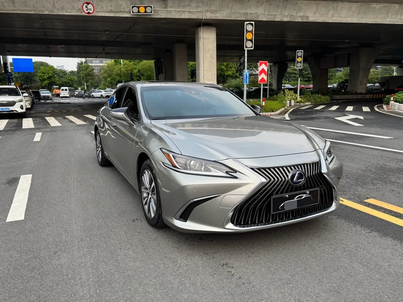 Lexus ES (Imported) 2020 ES300h 2.5 Stepless Excellence Edition Automatic Gear 5