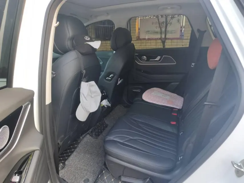 Chery 2024 Fengyun T9 C- DM 1.5T 120 Long Endurance Comfortable 7-seat Automatic Gear 9