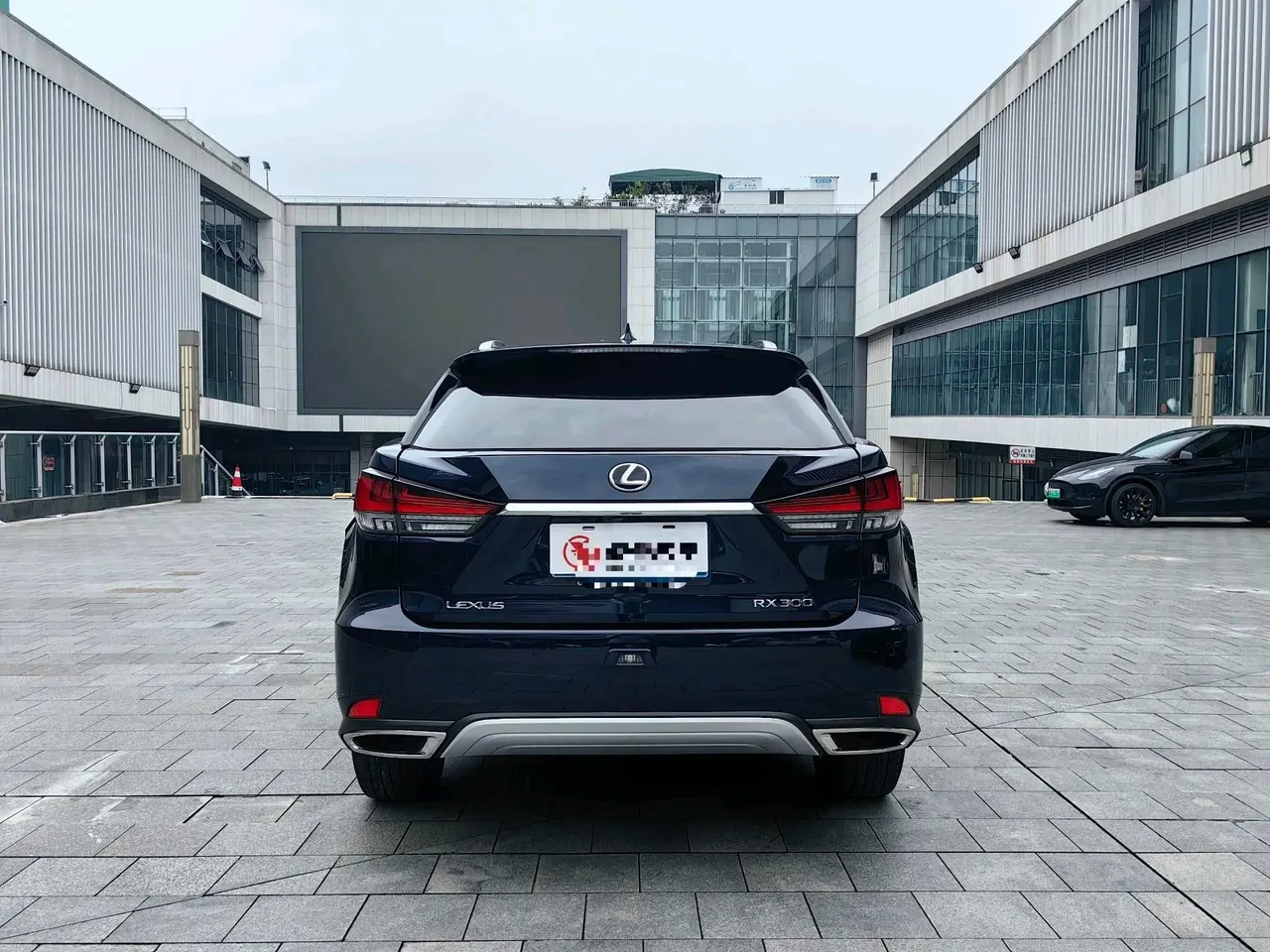 Lexus RX (Imported) 2020 RX300 2.0T Four-wheel Drive Elegant Edition (Modified) Automatic Gear 16