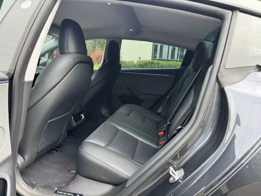 Tesla 2023 Model 3 Rejuvenation Edition Rear Wheel Drive Automatic Transmission 6