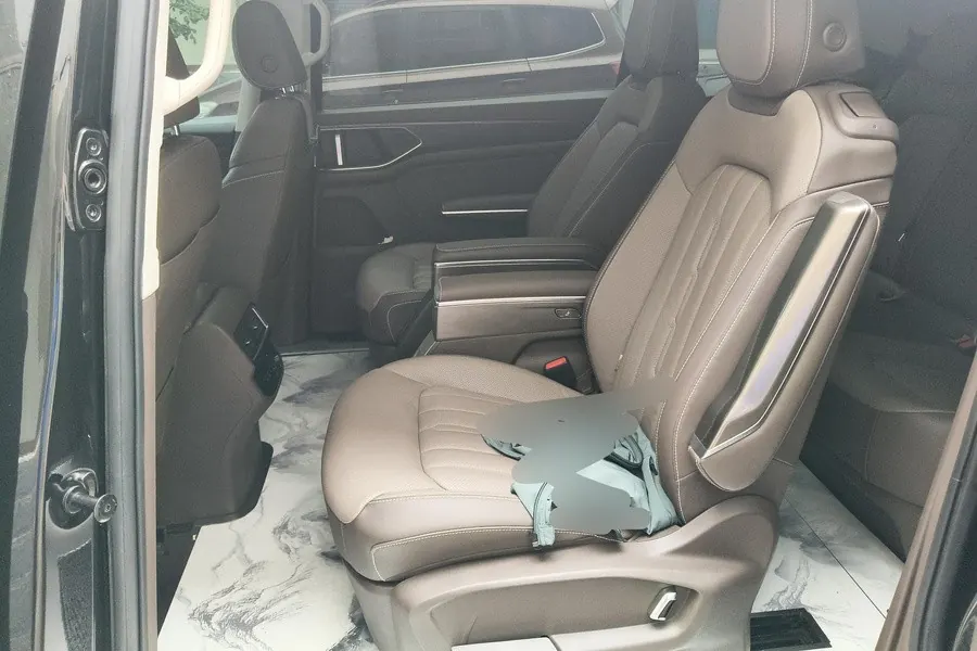 Volkswagen 2023 Wei (Viloran) 2.0TSI 380TSI Zunchi Edition Automatic Gear 5