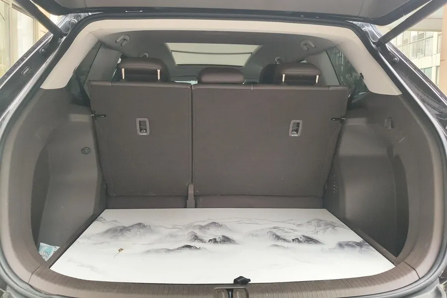 Volkswagen 2023 Wei (Viloran) 2.0TSI 380TSI Zunchi Edition Automatic Gear 6