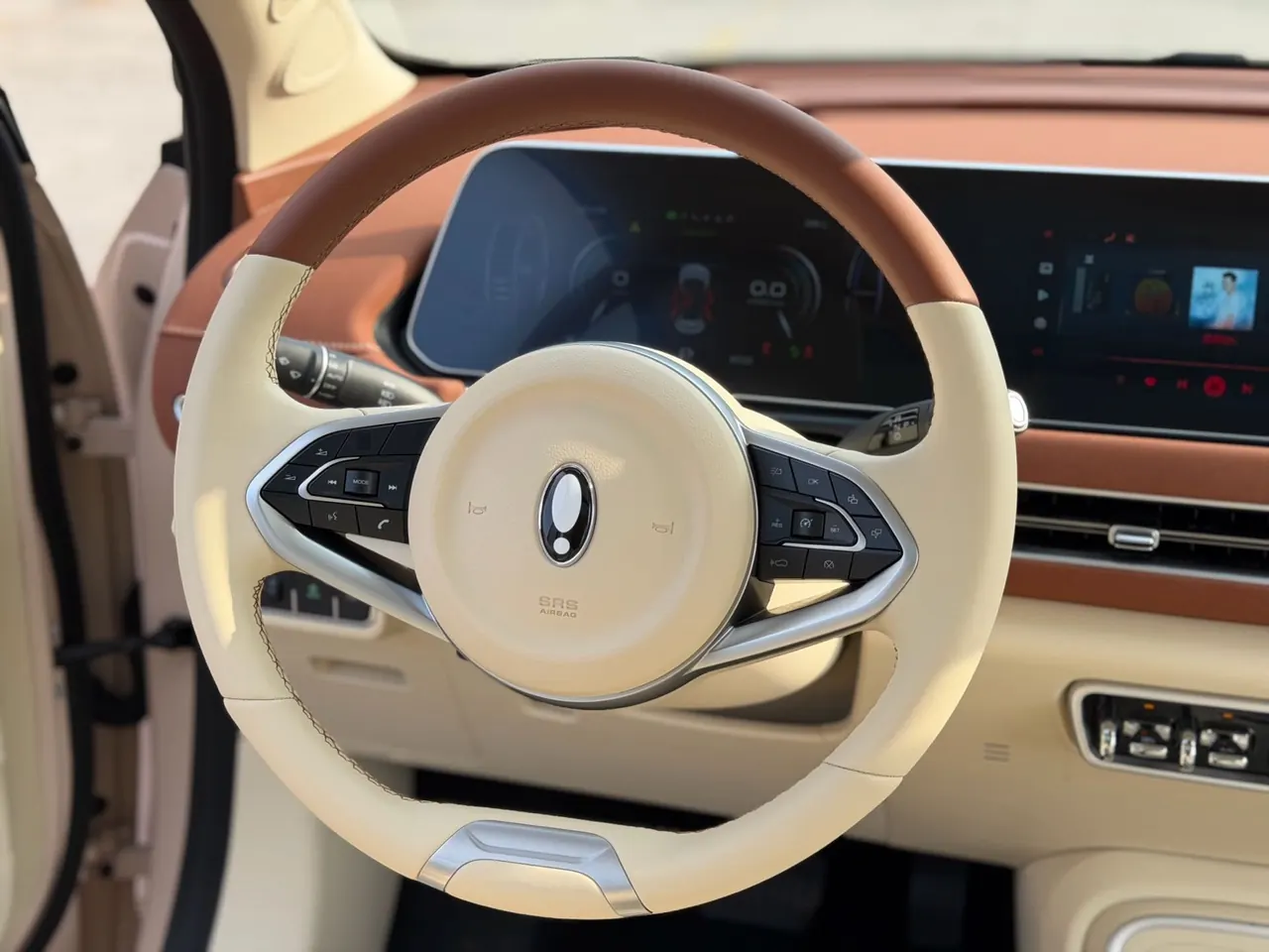 Ora 2024 good cat 401km luxury automatic gear 13