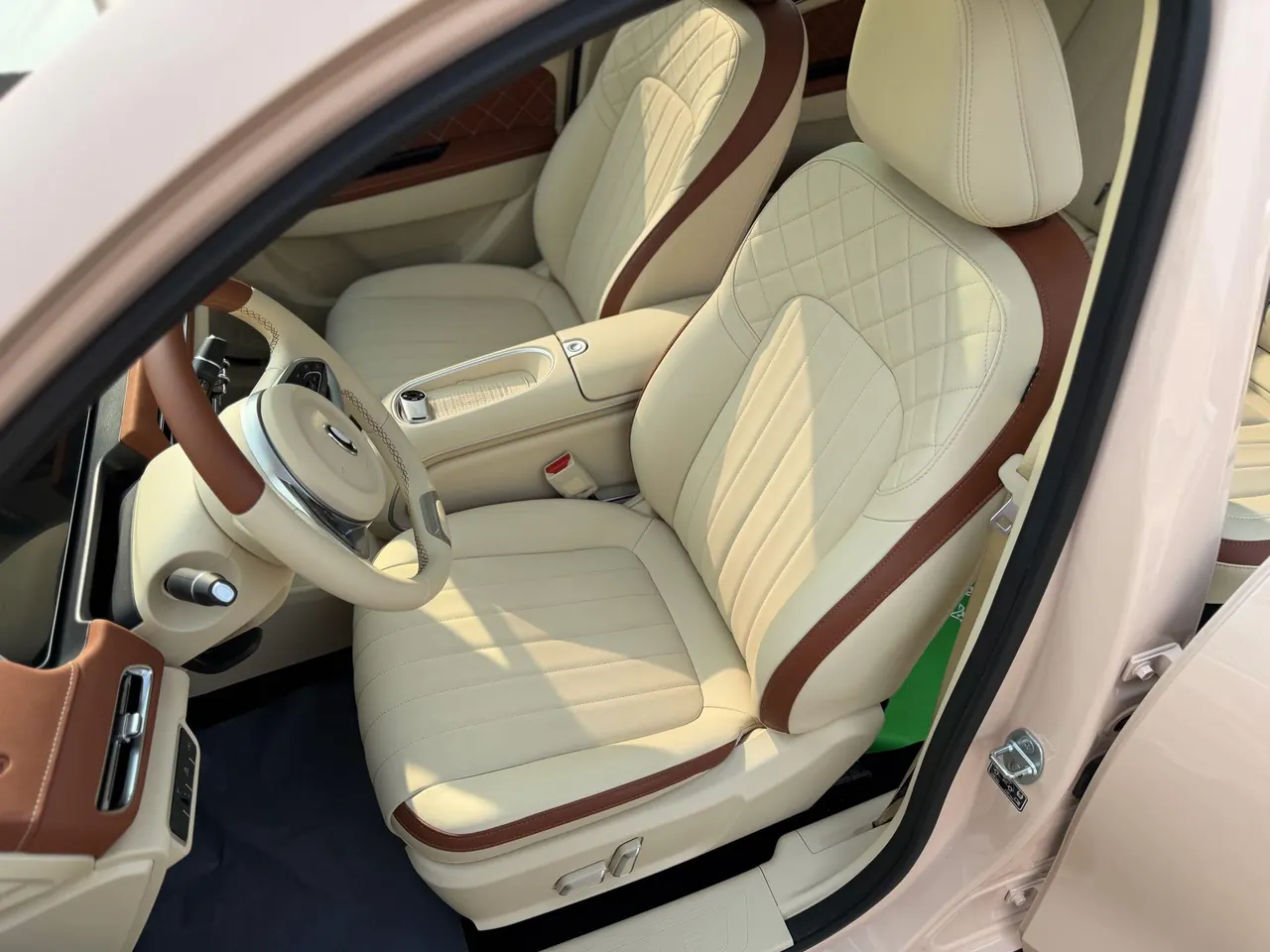 Ora 2024 good cat 401km luxury automatic gear 15