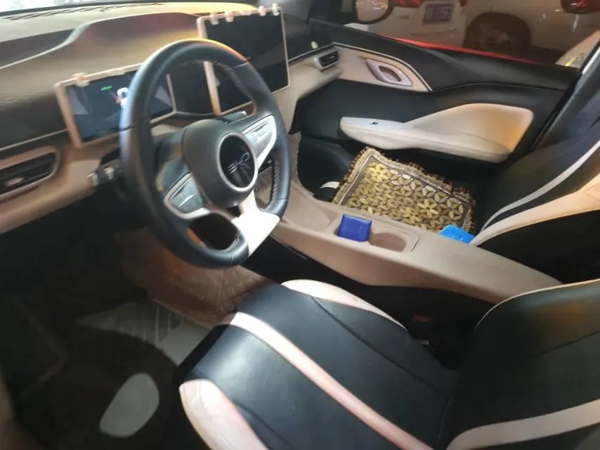 BYD 2025 seagulls 305km free version automatic gear 2