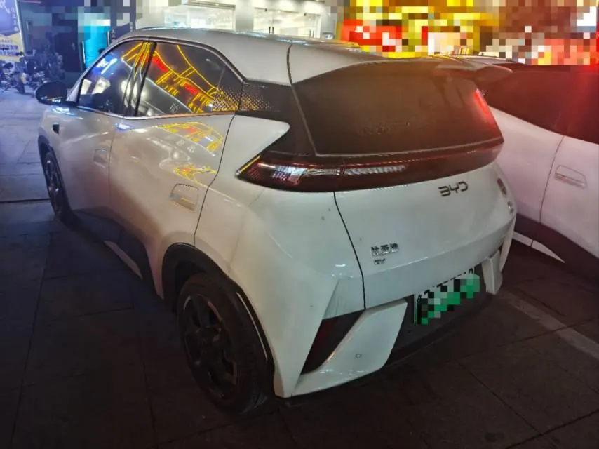 BYD 2025 seagulls 305km free version automatic gear 4