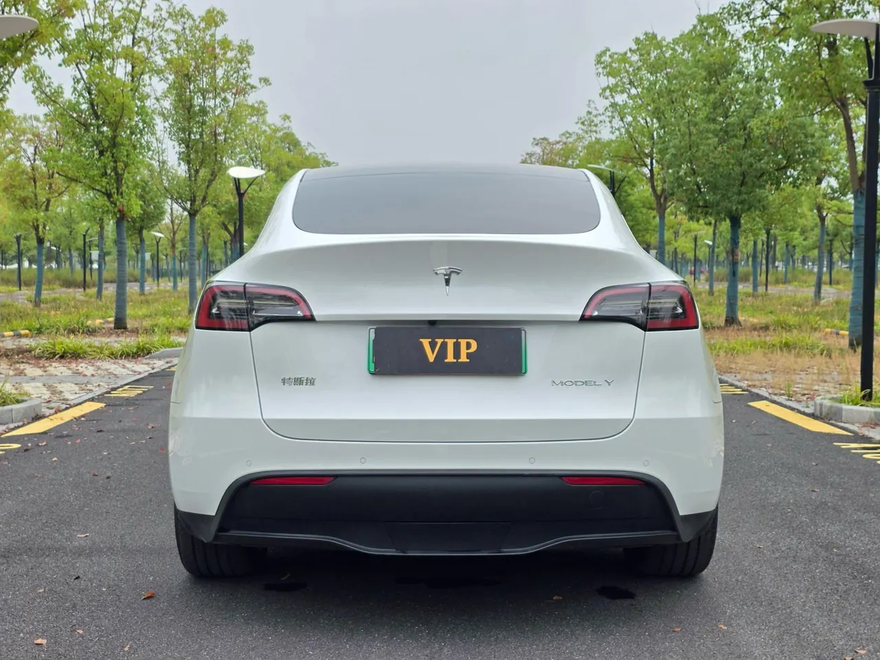 Tesla 2022 Model Y rear-wheel drive version (facelift) automatic gear 4
