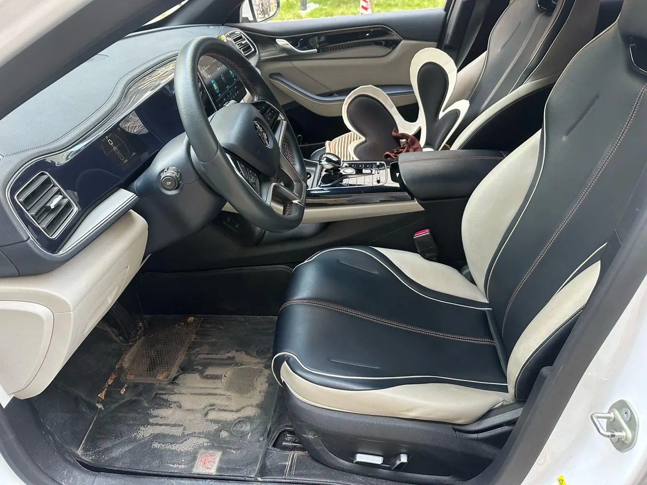 BYD 2021 Qin PLUS EV 500KM Luxury Automatic Gear 3
