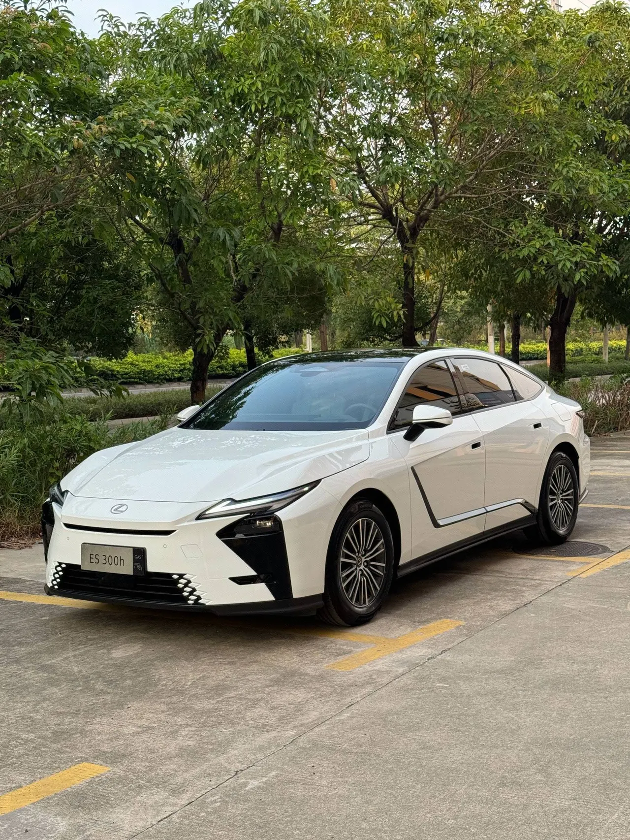 Open image lightbox: Lexus ES (Imported) 2026 ES300h 2.0 Stepless Automatic Gear