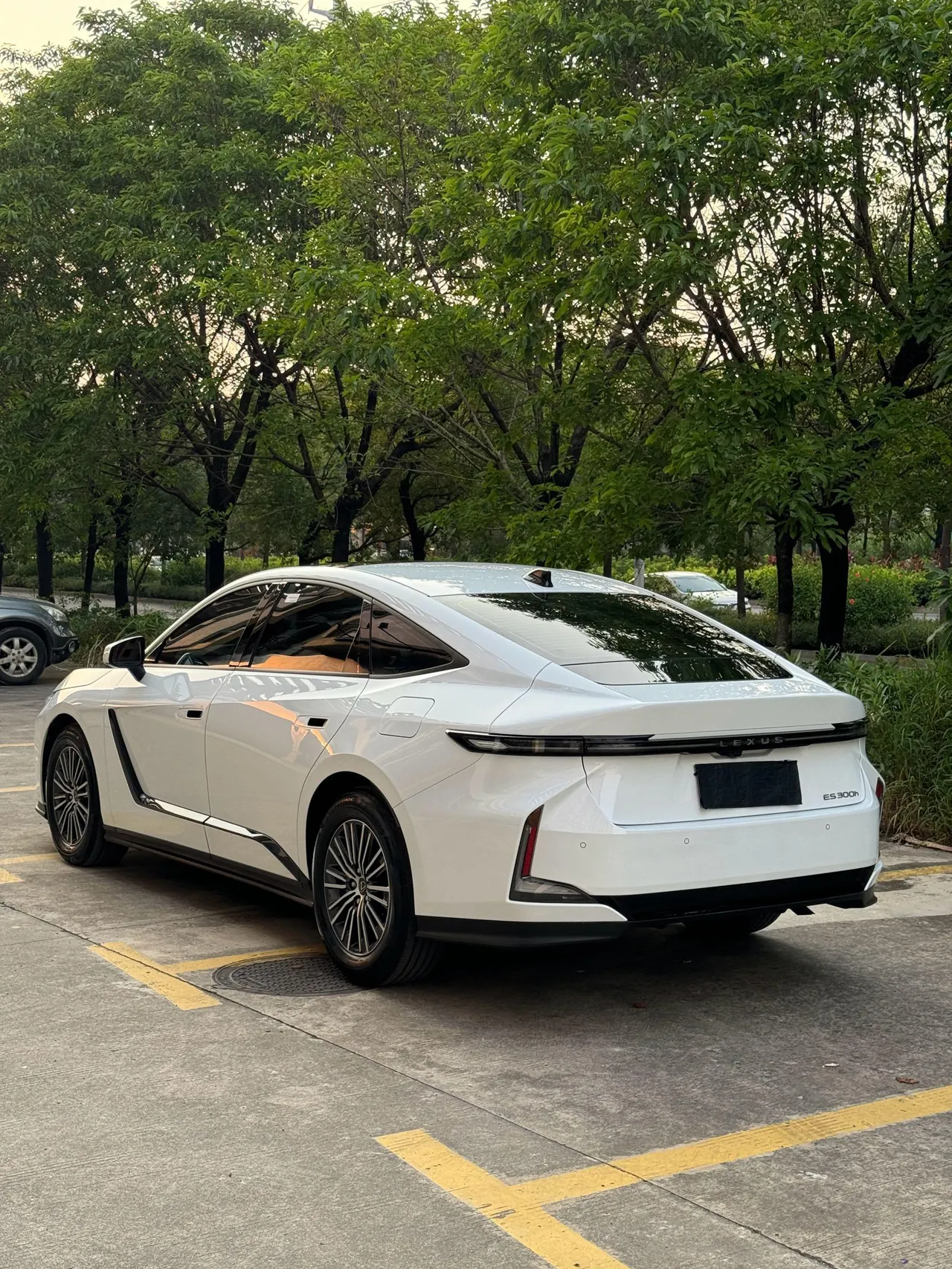 Lexus ES (Imported) 2026 ES300h 2.0 Stepless Automatic Gear 5