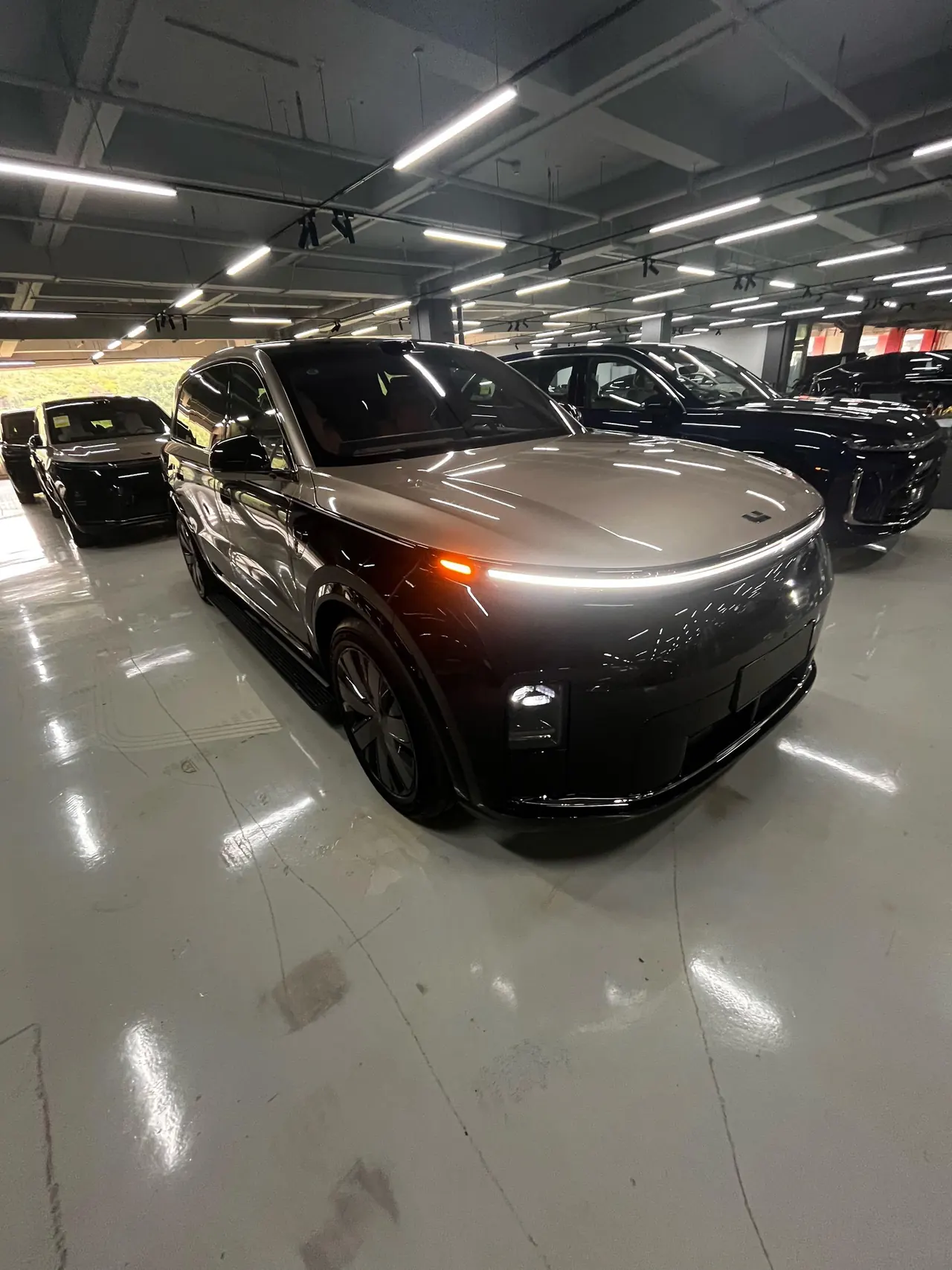 Li 2026 L9 Livis automatic gear 3