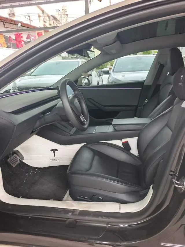 Tesla 2023 Model 3 Rejuvenation Edition Rear Wheel Drive Automatic Transmission 8