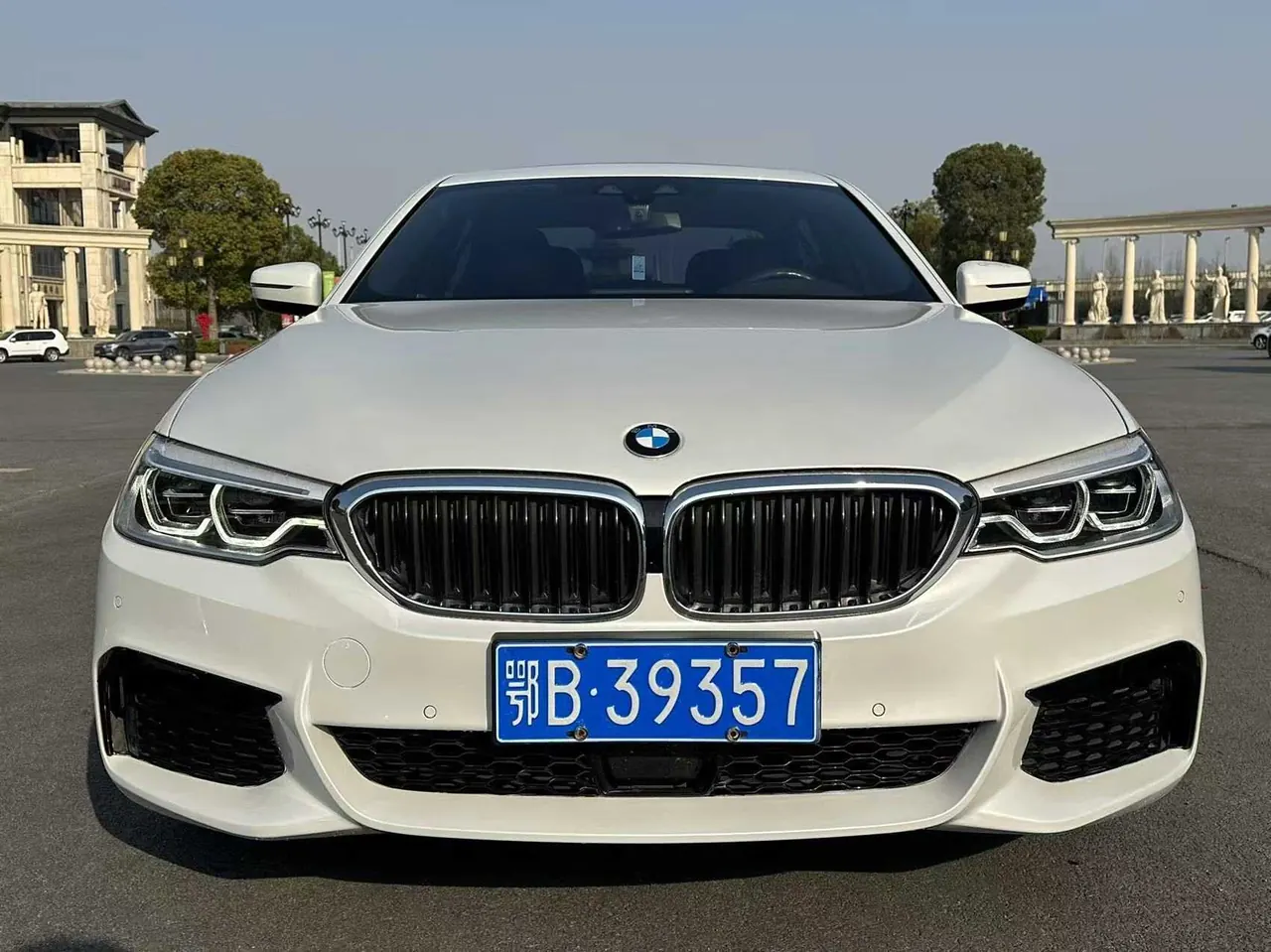 BMW 5 Series 2020 530Li 2.0T Leading M Sports Suit Automatic Gear 2