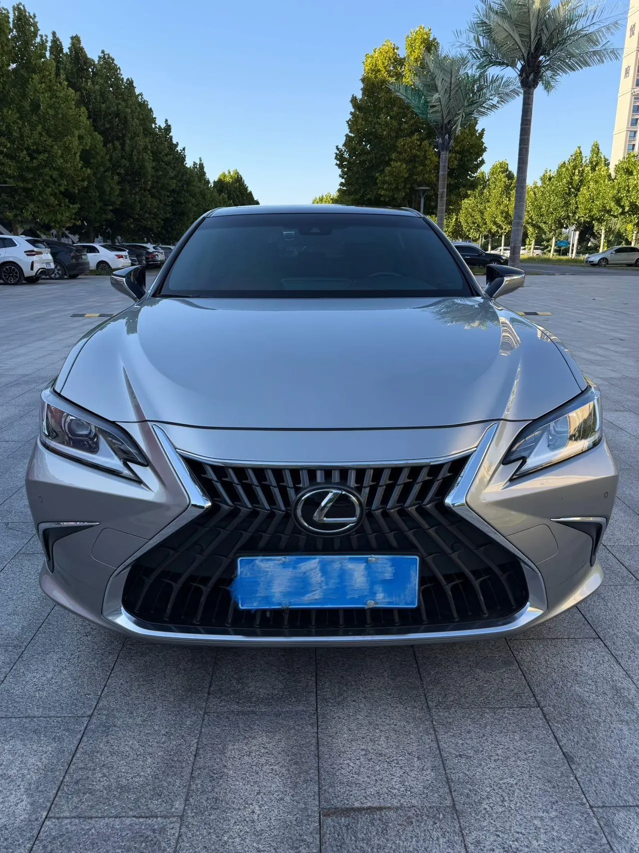 Lexus ES (Imported) 2022 ES200 2.0 Stepless Deluxe Edition Automatic Gear 2